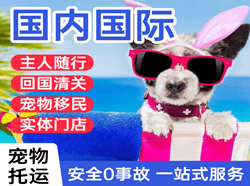 王村机场快递国际宠物托运 【国